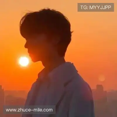 曹泽莎